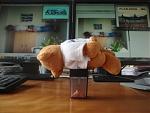 EB_Planking_kl.jpg