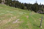 DSC00564.jpg