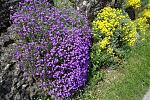 DSC00573.jpg