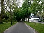 IMG_20150428_110732.jpg