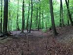 IMG_2287.JPG