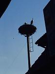 IMG_3352.jpg