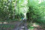 DSC00576.jpg