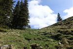 DSC00596.jpg