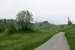 DSC00614.jpg