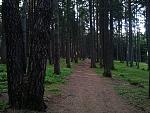 IMG_20150517_185455.jpg