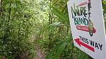 Nature Island Challenge - Trail.jpg