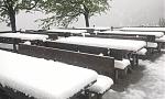 IMG-20150520-WA0003.jpeg