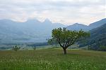 DSC00638.jpg