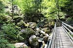 DSC00696.jpg