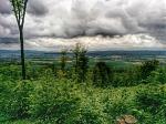 IMG_20150527_102040~2.jpg
