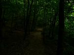 P1040606_1.jpg