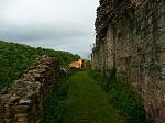 P1040592_1.jpg