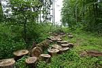 DSC02575k2.jpg