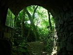 P1040637_1.jpg