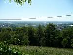 P1040666_1.jpg