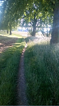 rückweg.PNG