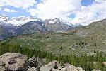 DSC00736.jpg