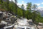 DSC00737.jpg