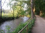 11040918_10200789694300462_1574432952926698900_n.jpg