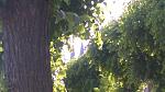 WP_20150607_024.jpg