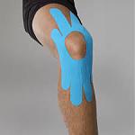 Knie.jpg