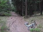 P1010067a.jpg