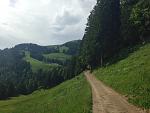 IMG_1990.jpg