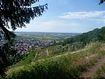 P1040678_1.jpg