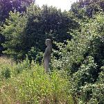IMG_1624.JPG