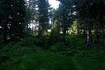 IMG_4314.JPG