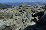 IMG_4356.JPG