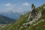 IMG_4390.JPG