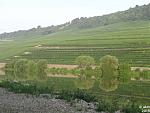 2015-07-04_remich-obermosel06.jpg