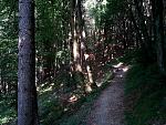 IMG_20150707_095331.jpg
