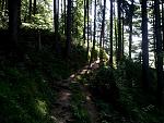 IMG_20150707_095518.jpg