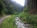 IMG_20150708_121027.jpg