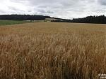 2015-07-08_Kernscheid02.jpg