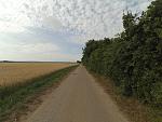 feld2.jpg