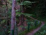 IMG_20150716_083128.jpg