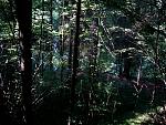IMG_20150716_085817.jpg