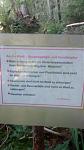 IMG_20150716_065308652[1].jpg