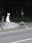 Fuchs 1d.jpg