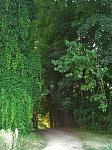 20150716_202405.jpg
