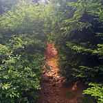 Trail o1.jpg