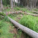 Trail 03.jpg