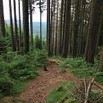 Trail 04.jpg