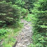 Trail 05.jpg