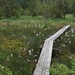 Trail 06.jpg