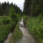 Trail 07.jpg